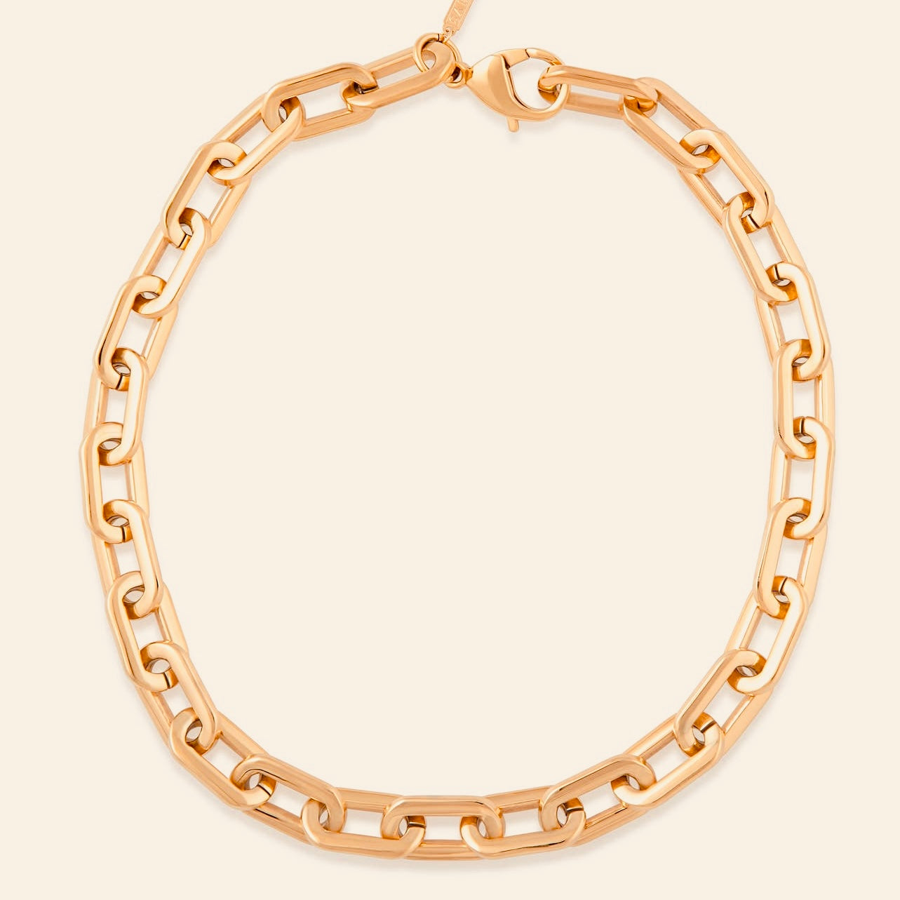 Zoe Link Necklace